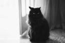 DSC00040.jpg
