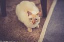 DSC00052.jpg