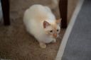 DSC00053-Editar.jpg