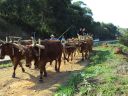 2012_07_18__00_21_00.jpg