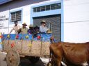 2012_07_18__00_22_18.jpg