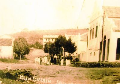 img017.jpg